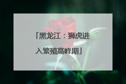 黑龙江：狮虎进入繁殖高峰期
