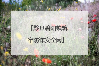 黟县碧阳镇筑牢防诈安全网