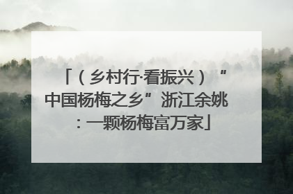 （乡村行·看振兴）“中国杨梅之乡”浙江余姚：一颗杨梅富万家