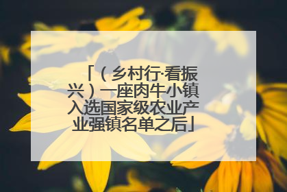 （乡村行·看振兴）一座肉牛小镇入选国家级农业产业强镇名单之后