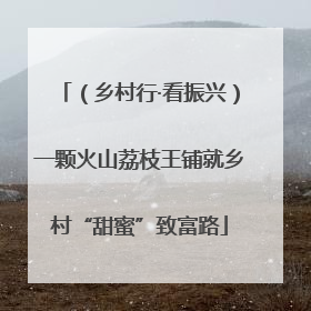 （乡村行·看振兴）一颗火山荔枝王铺就乡村“甜蜜”致富路