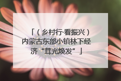 （乡村行·看振兴）内蒙古东部小镇林下经济“茸光焕发”