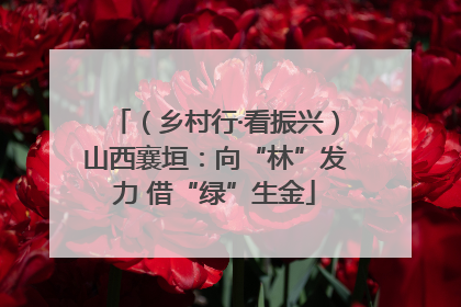 （乡村行·看振兴）山西襄垣：向“林”发力 借“绿”生金
