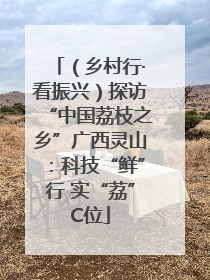 （乡村行·看振兴）探访“中国荔枝之乡”广西灵山：科技“鲜”行 实“荔”C位