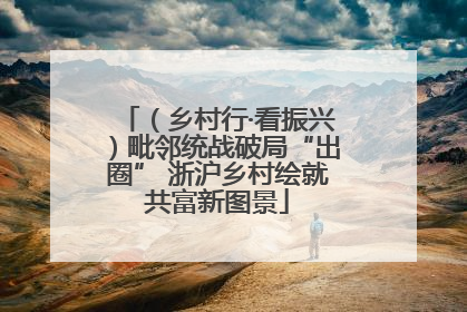 （乡村行·看振兴）毗邻统战破局“出圈” 浙沪乡村绘就共富新图景