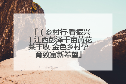 （乡村行·看振兴）江西彭泽千亩黄花菜丰收 金色乡村孕育致富新希望