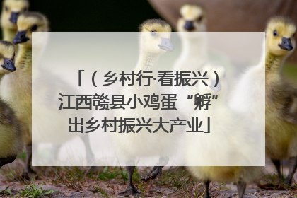 （乡村行·看振兴）江西赣县小鸡蛋“孵”出乡村振兴大产业