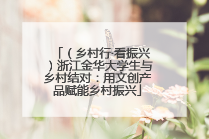 （乡村行·看振兴）浙江金华大学生与乡村结对：用文创产品赋能乡村振兴