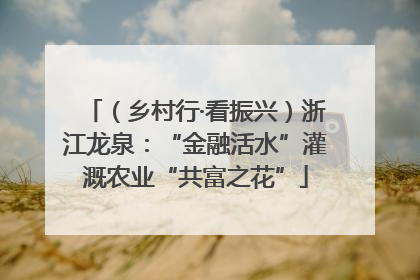 （乡村行·看振兴）浙江龙泉：“金融活水”灌溉农业“共富之花”