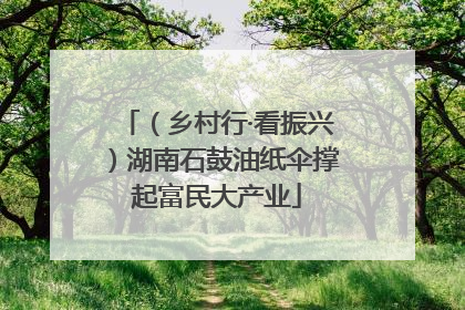 （乡村行·看振兴）湖南石鼓油纸伞撑起富民大产业