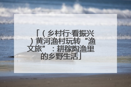 （乡村行·看振兴）黄河渔村玩转“渔文旅”：耕稼陶渔里的乡野生活
