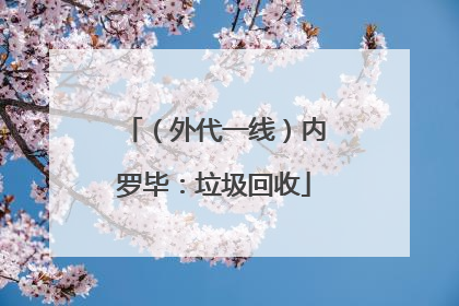 （外代一线）内罗毕：垃圾回收