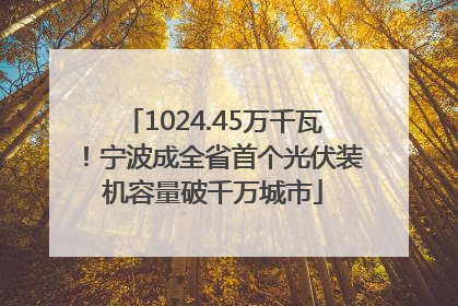 1024.45万千瓦！宁波成全省首个光伏装机容量破千万城市