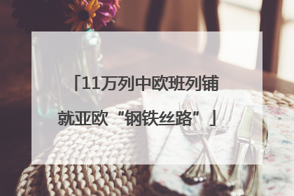 11万列中欧班列铺就亚欧“钢铁丝路”