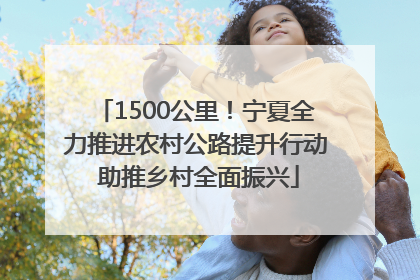 1500公里！宁夏全力推进农村公路提升行动 助推乡村全面振兴