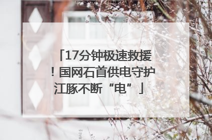 17分钟极速救援！国网石首供电守护江豚不断“电”
