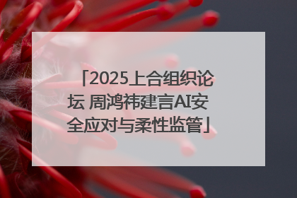 2025上合组织论坛 周鸿祎建言AI安全应对与柔性监管
