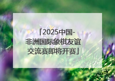 2025中国-非洲国际象棋友谊交流赛即将开赛