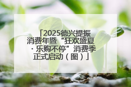 2025德兴提振消费年暨“狂欢盛夏・乐购不停”消费季正式启动（图）
