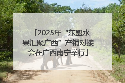 2025年“东盟水果汇聚广西”产销对接会在广西南宁举行