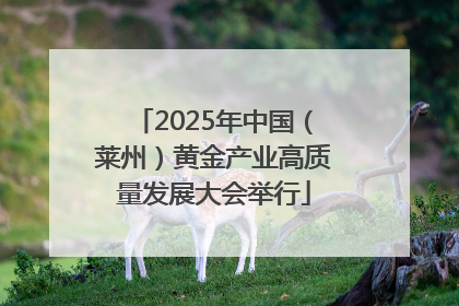 2025年中国（莱州）黄金产业高质量发展大会举行