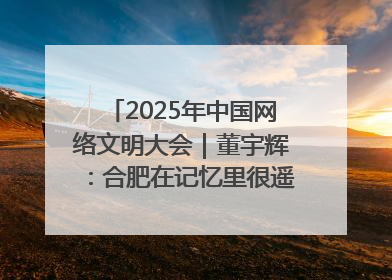 2025年中国网络文明大会｜董宇辉：合肥在记忆里很遥远也很亲切