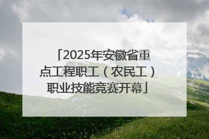 2025年安徽省重点工程职工（农民工）职业技能竞赛开幕