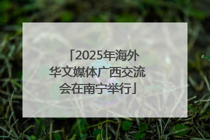 2025年海外华文媒体广西交流会在南宁举行