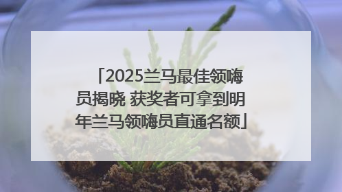 2025兰马最佳领嗨员揭晓 获奖者可拿到明年兰马领嗨员直通名额