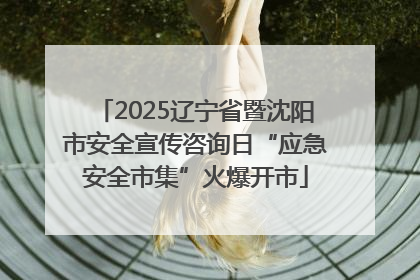 2025辽宁省暨沈阳市安全宣传咨询日“应急安全市集”火爆开市
