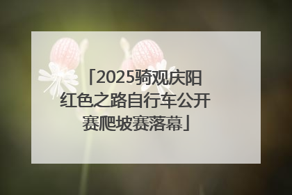 2025骑观庆阳红色之路自行车公开赛爬坡赛落幕