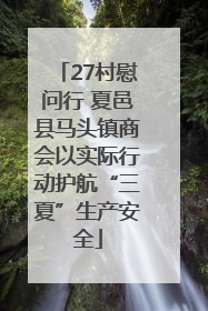 27村慰问行 夏邑县马头镇商会以实际行动护航“三夏”生产安全