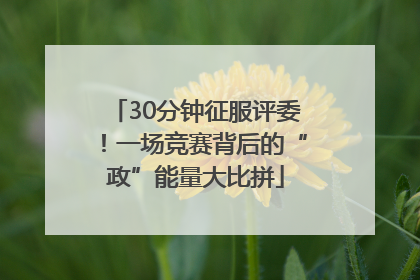 30分钟征服评委！一场竞赛背后的“政”能量大比拼