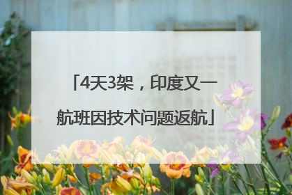 4天3架，印度又一航班因技术问题返航