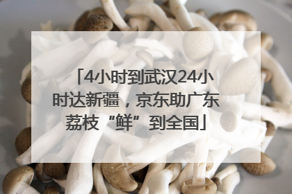 4小时到武汉24小时达新疆，京东助广东荔枝“鲜”到全国