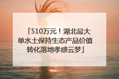 510万元！湖北最大单水土保持生态产品价值转化落地孝感云梦
