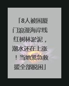 8人被困厦门浪漫海岸线红树林淤泥，潮水还在上涨！当地紧急救援全部脱困