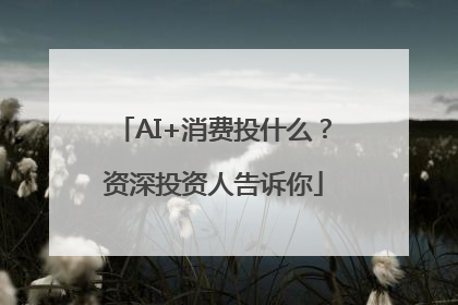 AI+消费投什么？资深投资人告诉你