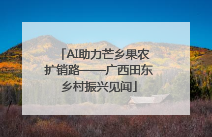 AI助力芒乡果农扩销路——广西田东乡村振兴见闻