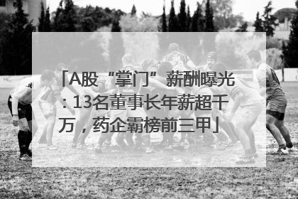 A股“掌门”薪酬曝光：13名董事长年薪超千万，药企霸榜前三甲
