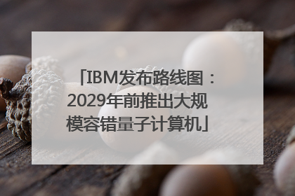 IBM发布路线图：2029年前推出大规模容错量子计算机