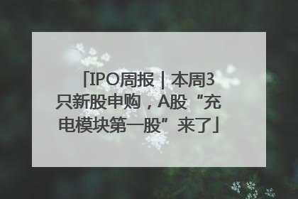 IPO周报｜本周3只新股申购，A股“充电模块第一股”来了