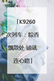 K9260次列车：粽香飘散处 铺就连心路